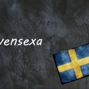 #Schwedisches #Term #Des #Tages #Svensexa