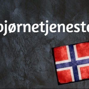 #Norwegisches #Ausgabe #Des #Tages #Bjørnetjeneste