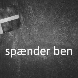 #Dänischer #Fachwort #Des #Tages #Spænder #Ben