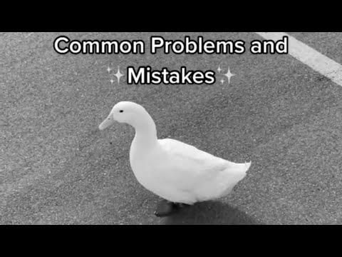 How one can Decide Up a Duck #1 (full video)