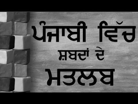 ਪੰਜਾਬੀ ਸਿੱਖੋ |  Be taught Punjabi Language With Sentences For Beginners |  Pronounce The Matra & Vowels